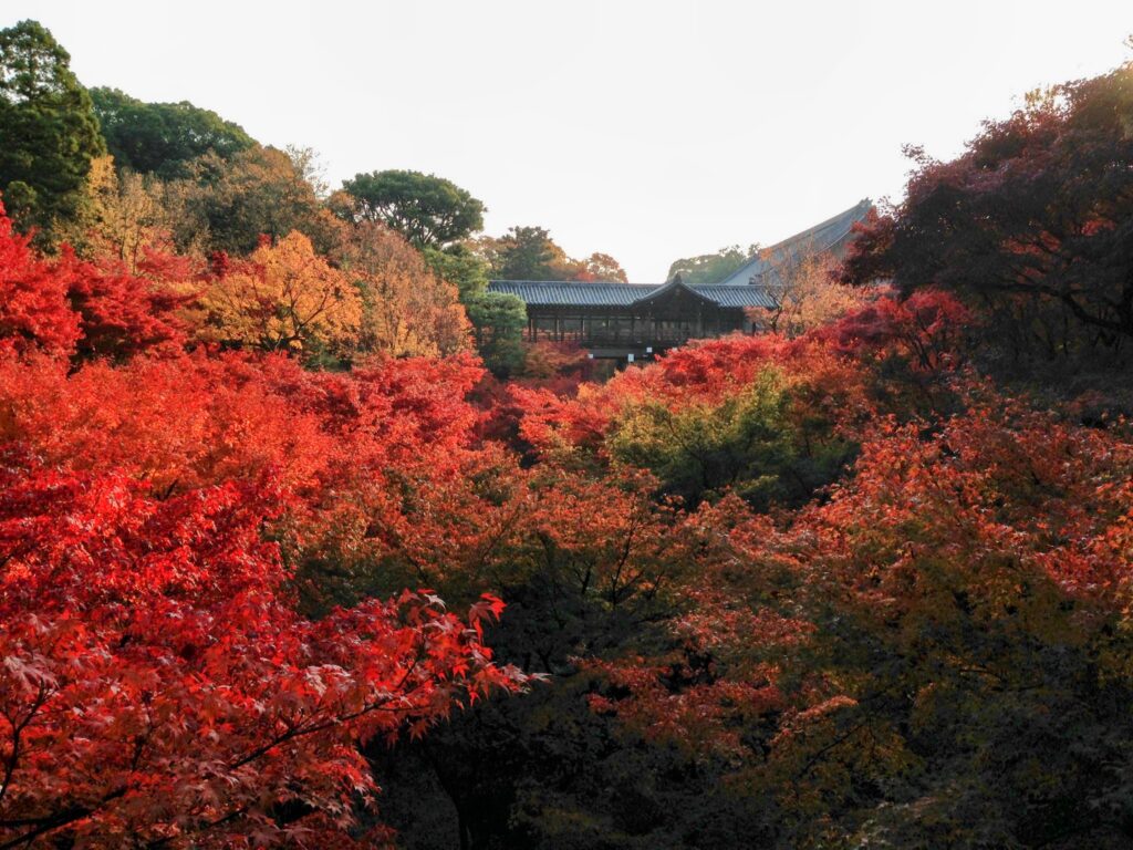 国内旅行の写真