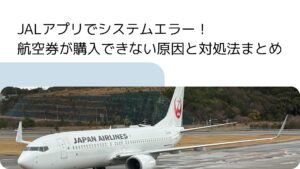 JALシステムエラーの写真
