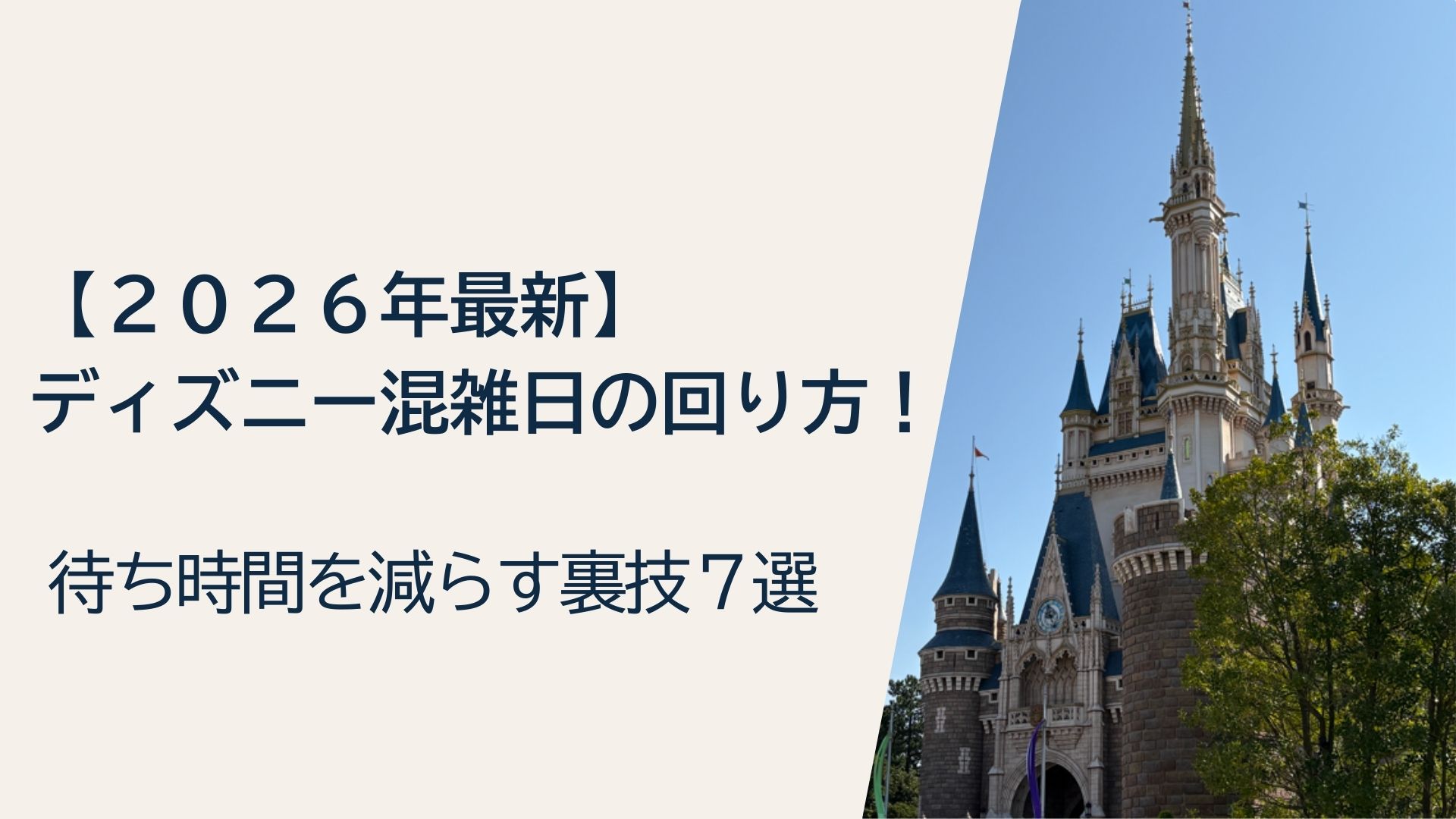 ディズニー混雑日の回り方7選