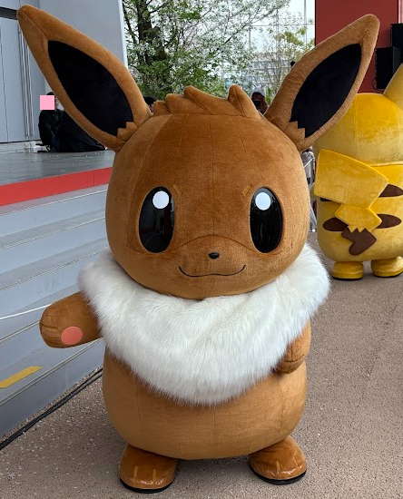 イーブイの写真